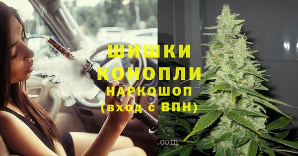 дживик Вязьма