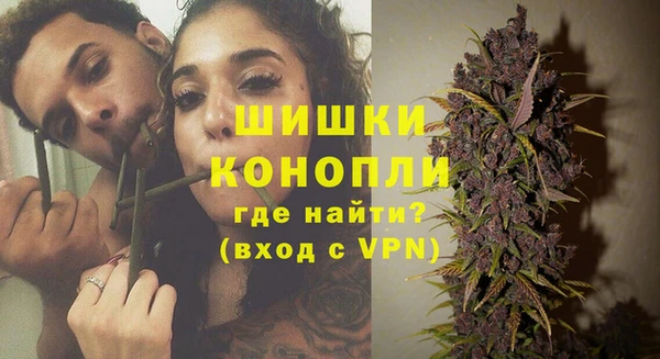 дживик Вязьма
