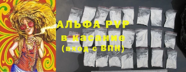 дживик Вязьма