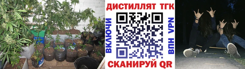 ТГК THC oil  Купить где  Кунгур 