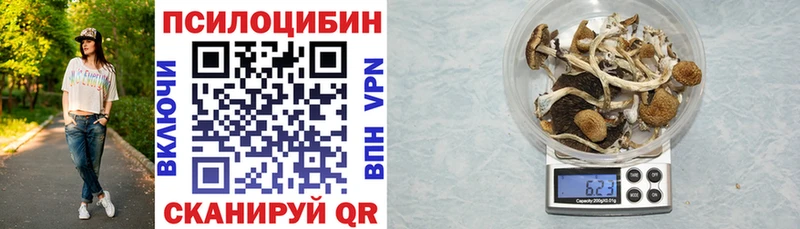 Псилоцибиновые грибы мухоморы  Купить  Кунгур 
